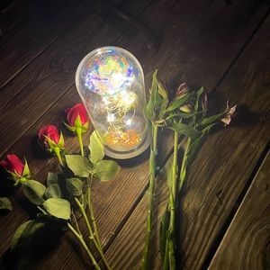 Meet your Posher, Bella